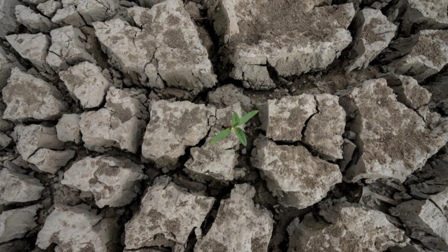 changement climatique : sécheresses en europe aggravées par les chaleurs record