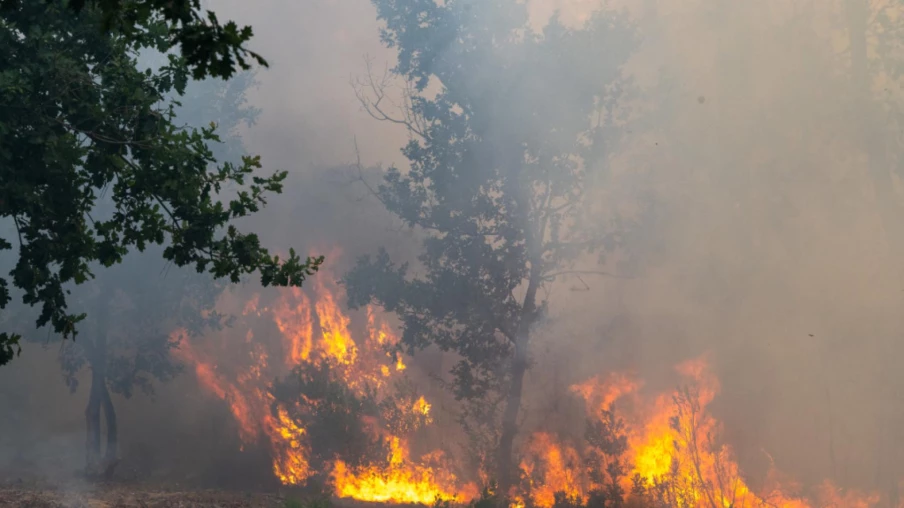 Incendies en Gironde : nouvelles évacuations près de Bordeaux