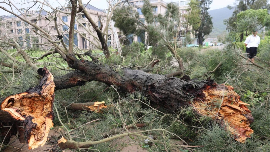 Typhon Noul : vents violents et pluies diluviennes en Chine et à Hong Kong