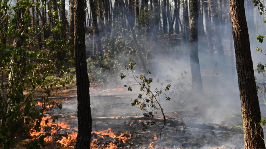 Gironde : le mégafeu ravivé par la chaleur et le vent