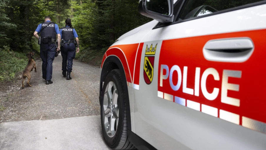 Blankenburg (BE) : une femme de 72 ans meurt dans un accident de voiture