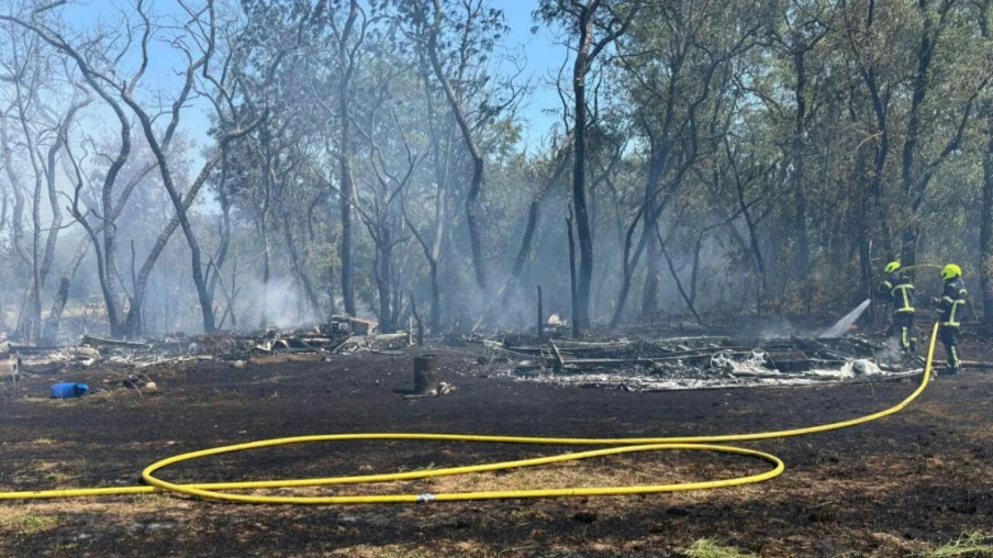 le vent propage un feu de champ en forêt à bernex