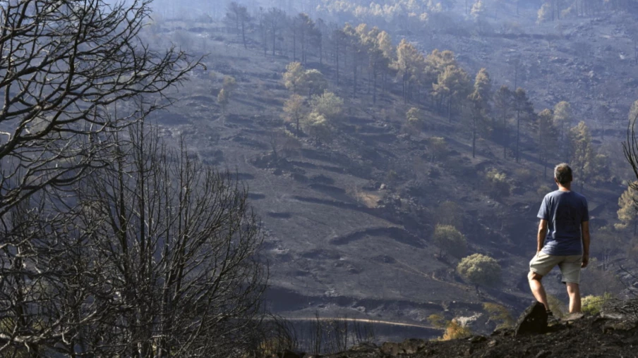 Incendies en Espagne : fin des évacuations dans la province d'Ávila