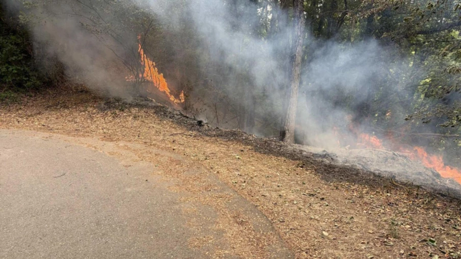 incendie de forêt maîtrisé à cheyres : enquête ouverte après un départ de feu