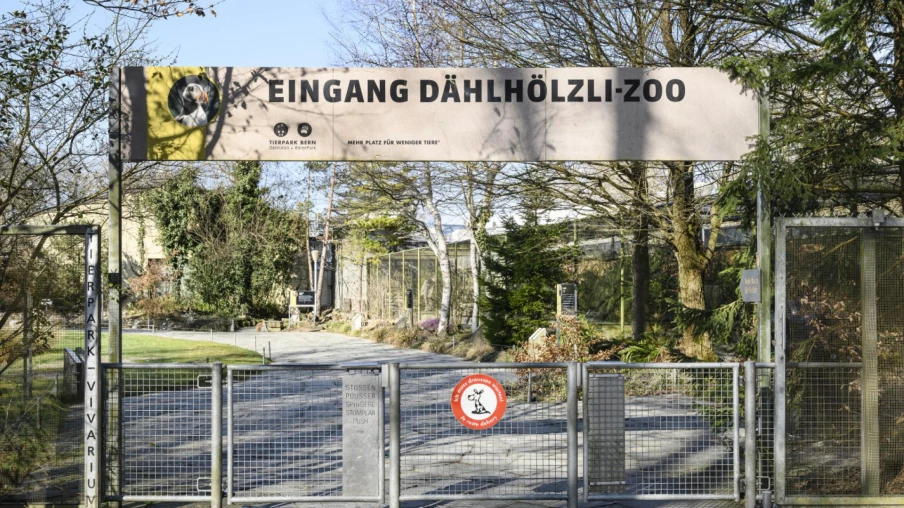Berne : un homme grièvement blessé par la chute d'arbres au zoo Dälhölzli