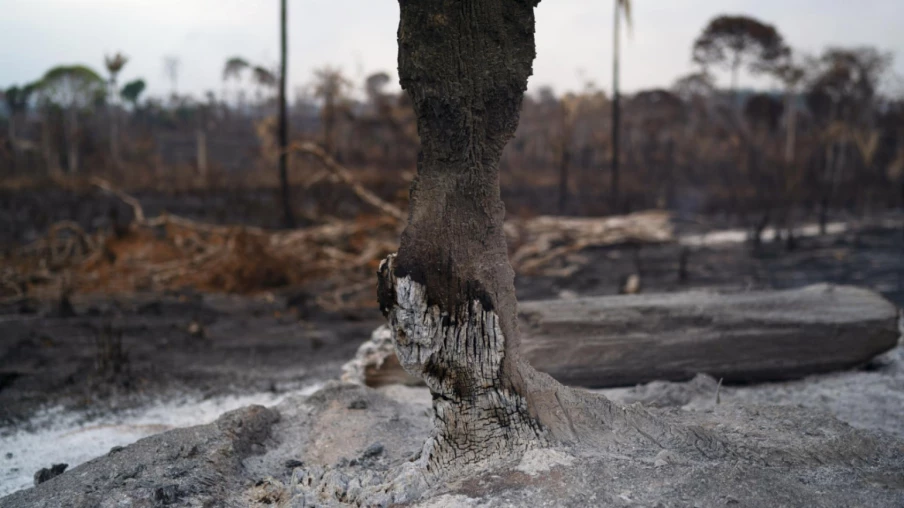 Brésil : la déforestation en Amazonie au plus bas depuis 10 ans