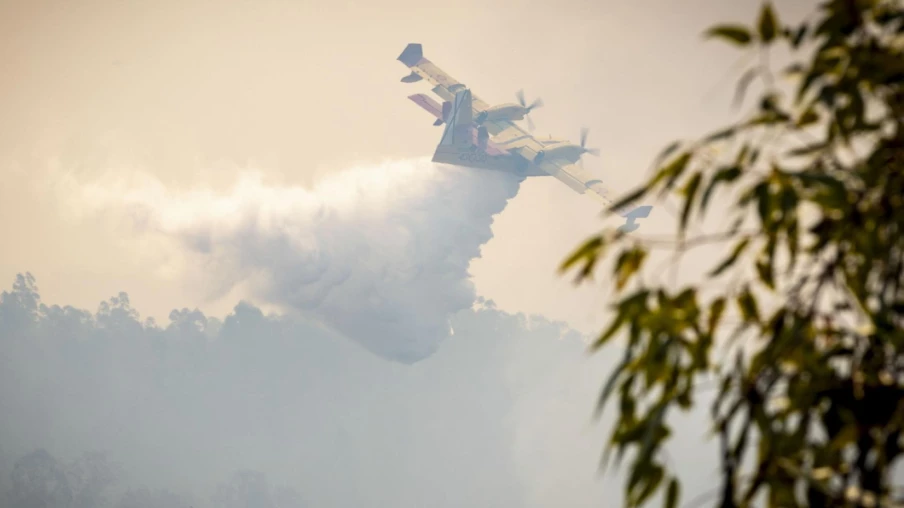 Incendie en Andalousie : plus de 4000 hectares touchés à Huelva
