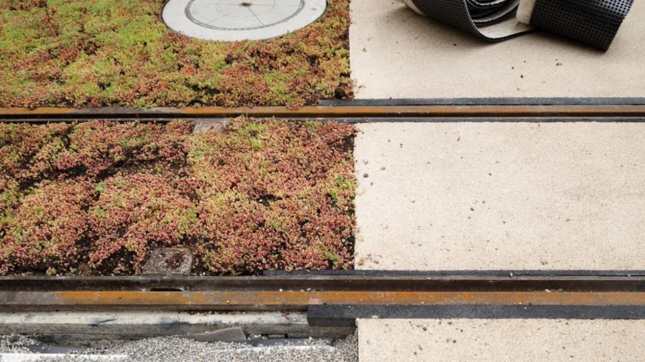 Retour à la normale des trams tpg à Genève après les travaux