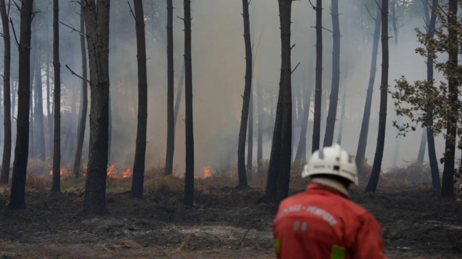 Incendie dans les Landes : 1100 hectares brûlés et 525 évacués
