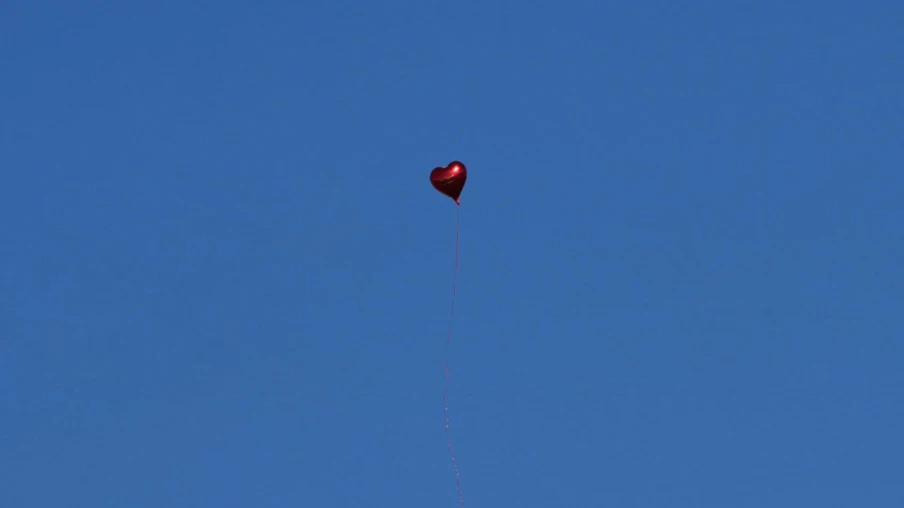 Un ballon rouge de Berlin parcourt 900 km jusqu’à Bialowieza