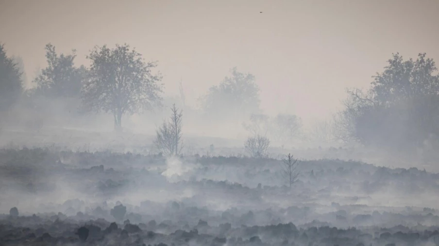 Incendie en Belgique : une ville allemande évacuée près de la frontière