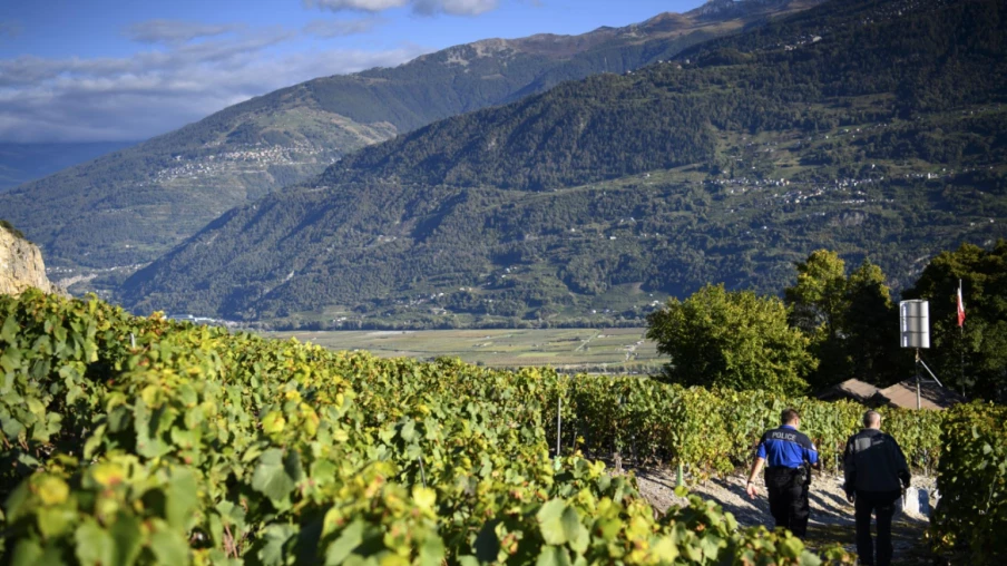 Valais : renouvellement à l’interprofession de la vigne et du vin