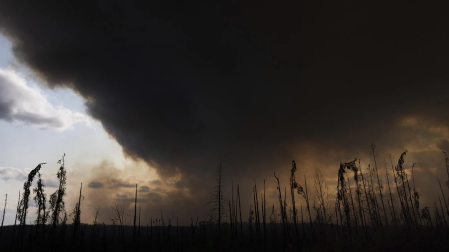 Incendies au Canada : évacuations majeures en Ontario et Colombie-Britannique face à la progression des feux de forêt