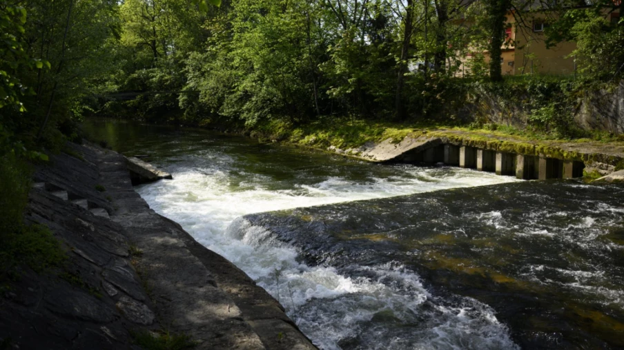 Pointe de l’Areuse : dernière phase de revitalisation écologique (NE)