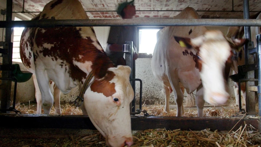Berne : aides d’urgence pour les exploitations agricoles touchées par la sécheresse
