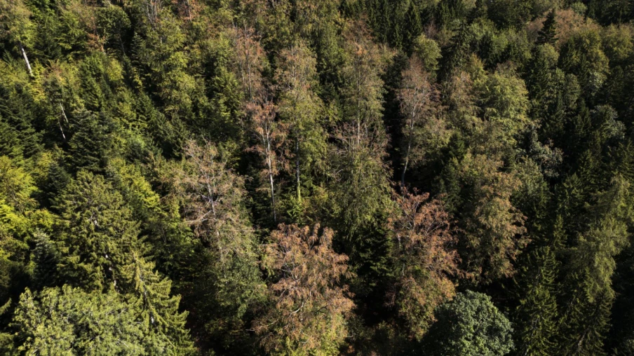 Fonds additionnels pour protéger les forêts et l’agriculture