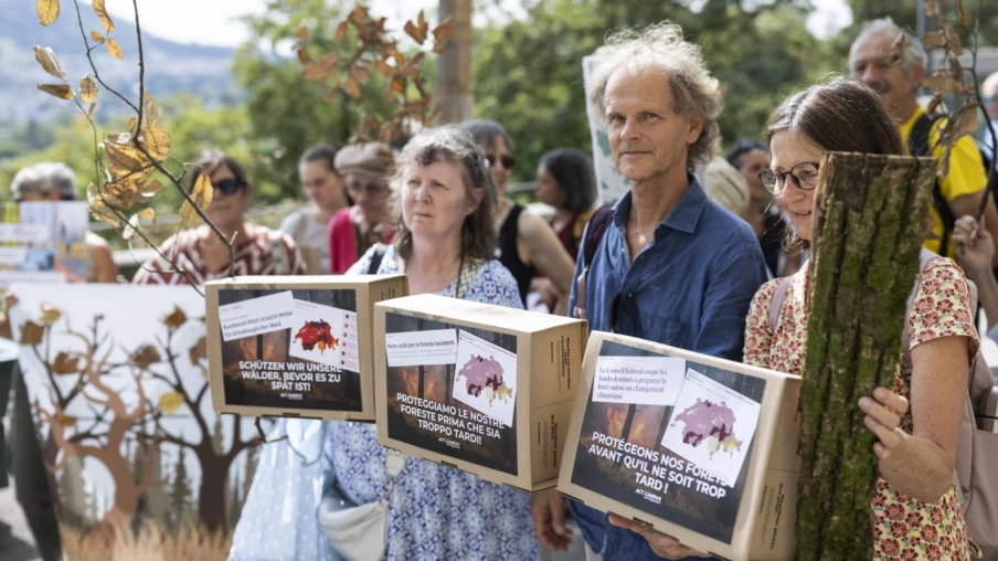 Forêts : plus de 72 000 signatures pour la protection des forêts