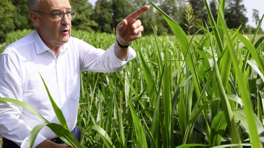 Manque de fourrage : Guy Parmelin visite une ferme vaudoise