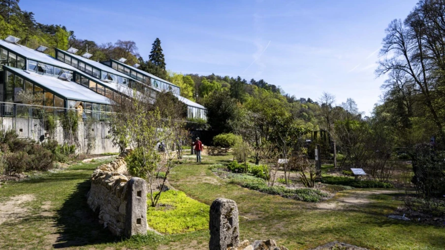 Journée spéciale sur les Penan de Bornéo au Jardin botanique de Neuchâtel