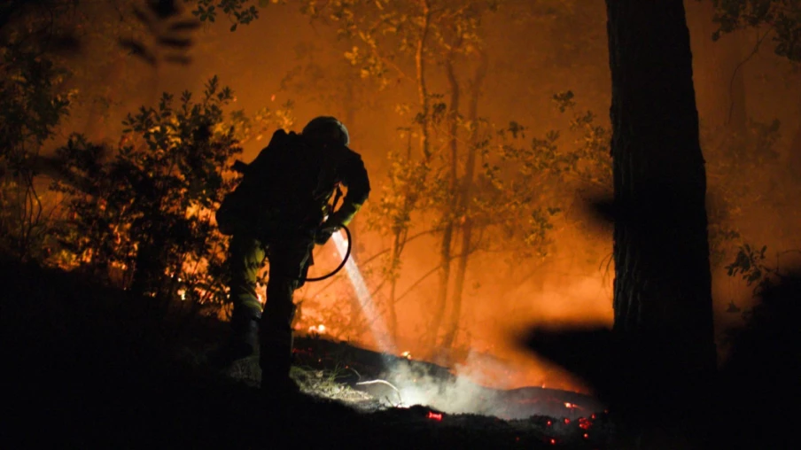 Incendie dans le Cap Corse : 130 hectares parcourus à Cagnano
