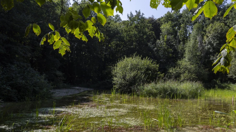 Pro Natura lance 70 actions pour la biodiversité dans 70 communes
