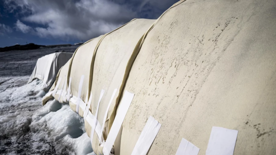 Laine de mouton : une solution pour limiter la fonte des glaciers