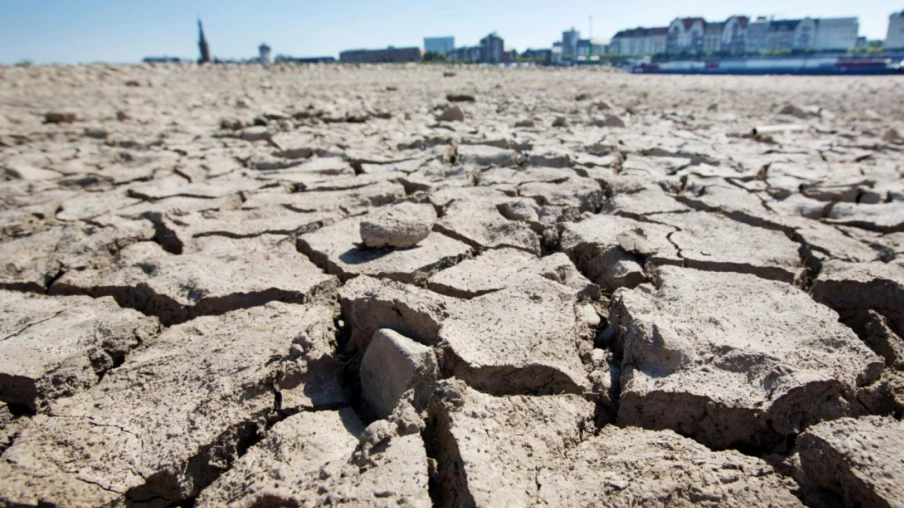 Mai : Persistance des températures élevées globales