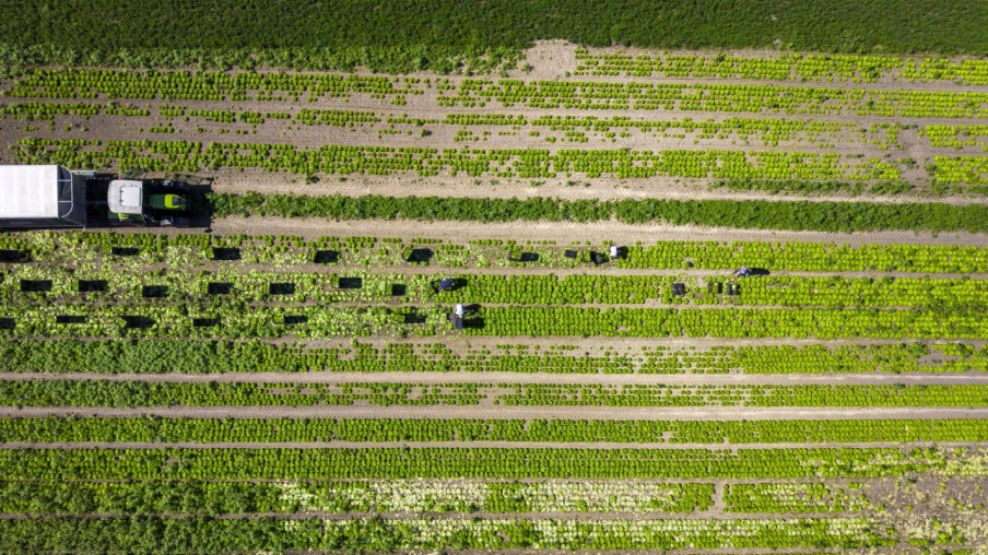 Accord Mercosur soutenu en commission avec compensation pour l’agriculture