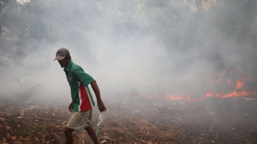 Indonésie : un orang-outan et son petit sauvés des incendies à Bornéo