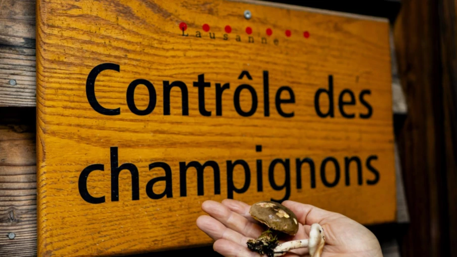 Fermeture du contrôle des champignons à Lausanne inquiète la Vapko