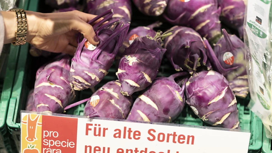 Lausanne : 14e marché d'automne ProSpecieRara à Sauvabelin