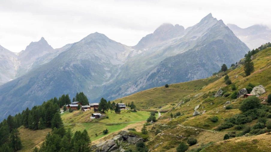 Réchauffement climatique : une croissance plus longue ne produit pas plus de bois