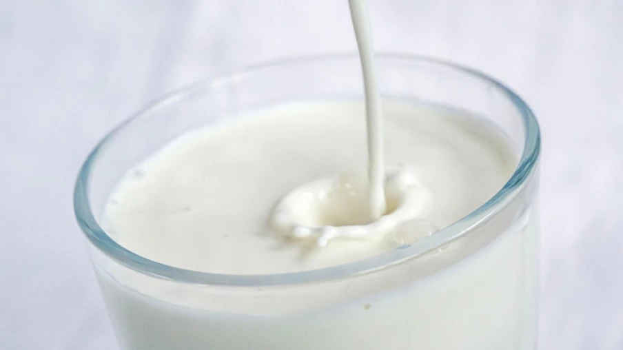 L'EPFL détecte des composés du caoutchouc dans du lait cru