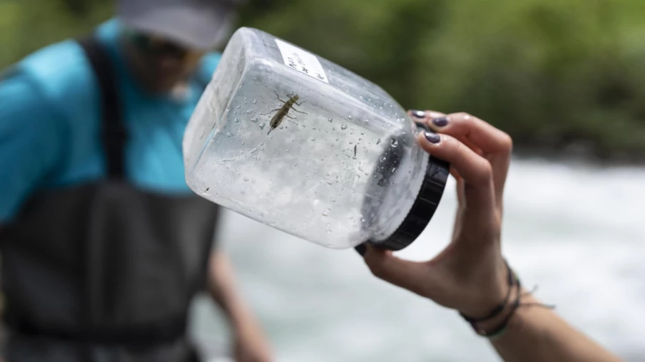 Projet fédéral sur les PFAS : forte opposition au mélange d’aliments contaminés
