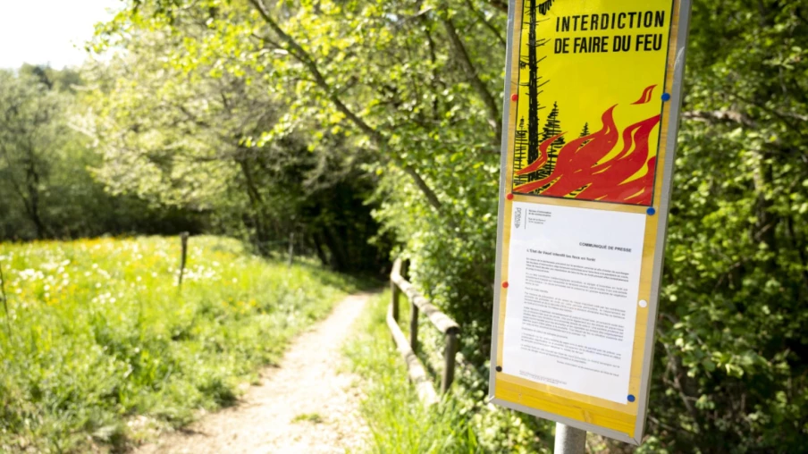 Jura : les feux à nouveau autorisés partout en forêt