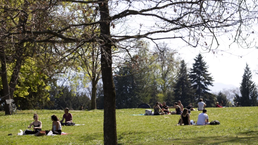 Cours de français gratuits dans les parcs de Genève en été : succès malgré la canicule