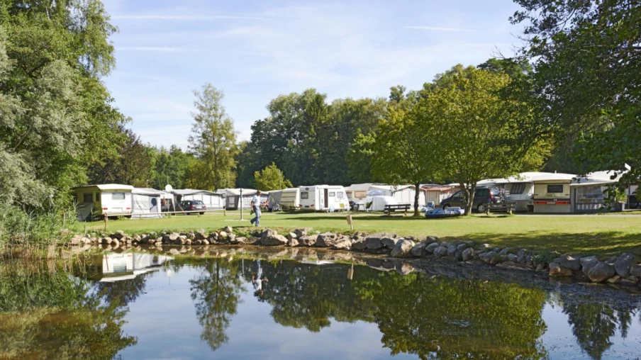 Renaturation de l'ancien camping du Fanel au bord du lac de Neuchâtel