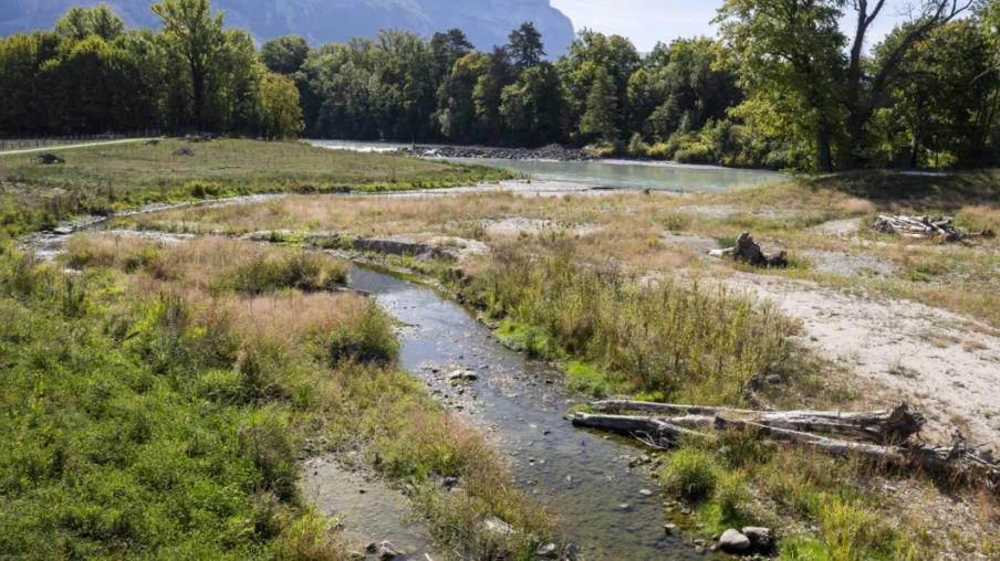 Renaturation du Foron : Genève protégée des crues de l’Arve