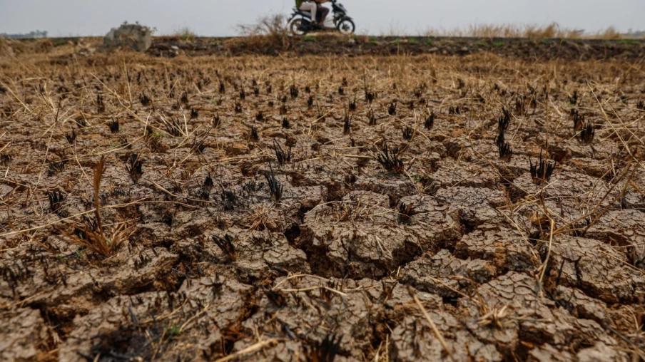 Europe : record de stress thermique durant l’été le plus chaud