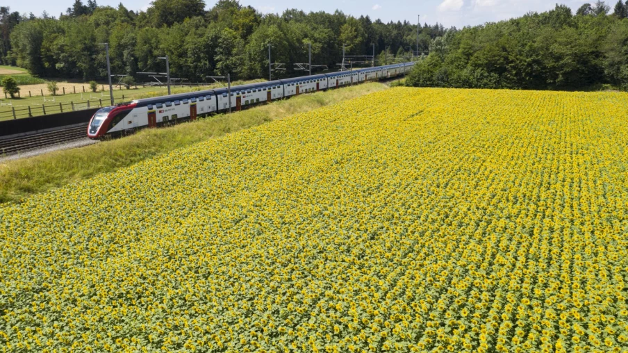 CFF: Lancement d'un badge pour handicap invisible dans certaines gares