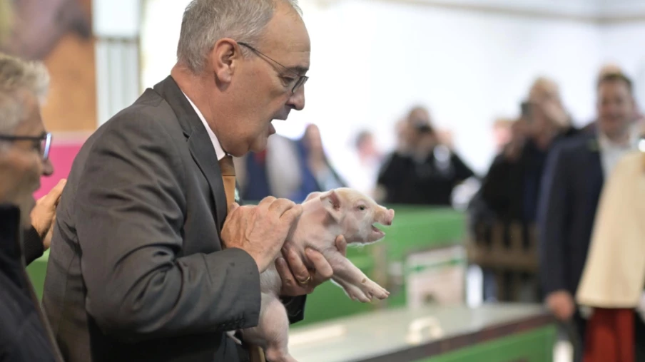 Guy Parmelin ouvre l’Olma 2024 à Saint-Gall avec un porcelet