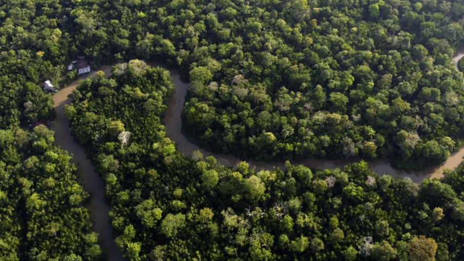 Déforestation en Amazonie : plus bas niveau depuis 1988