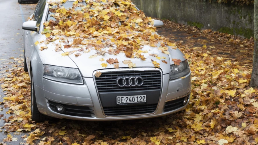 Comment rentrer chez soi en toute sécurité cet automne
