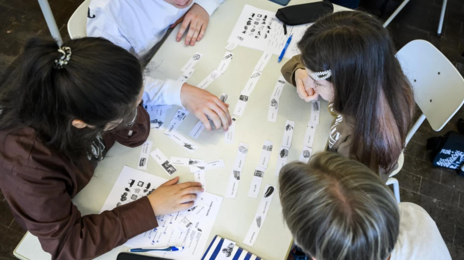Coopération en classe : mieux agir pour l’environnement selon une étude