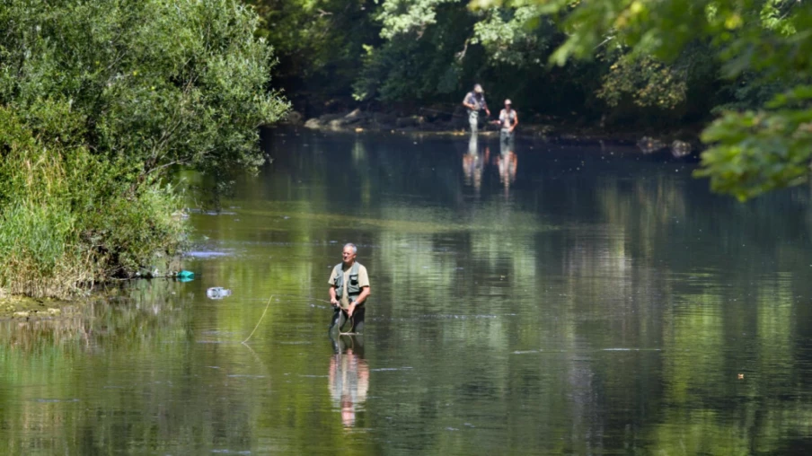 Près de 9600 poissons sauvés dans le Jura lors des pêches de sauvetage