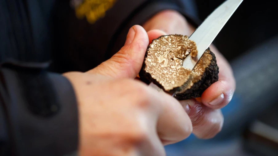 Moins de truffes attendues au marché aux truffes de Bonvillars
