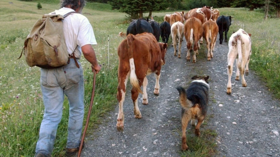 Arc jurassien: Soutien de 11 nouveaux projets transfrontaliers franco-suisses