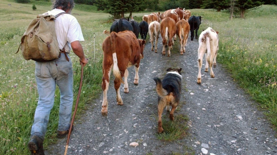 Nouveaux projets de coopération transfrontalière dans l'Arc jurassien : 11 initiatives soutenues