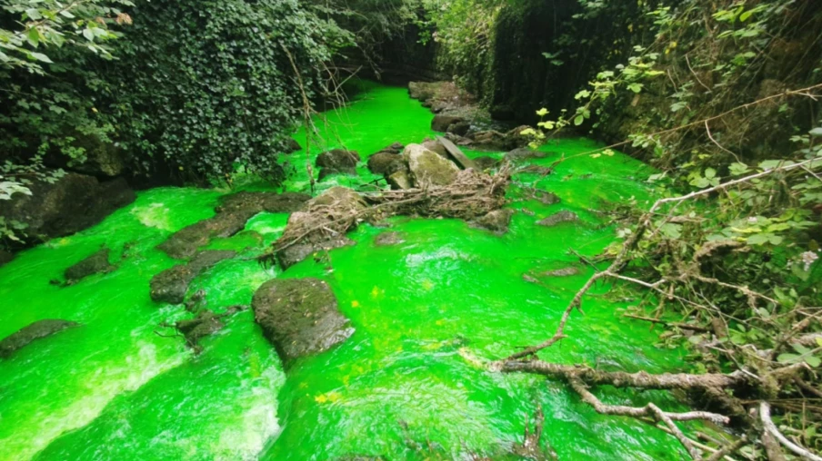Des rivières teintes en vert à Genève pour alerter sur la pollution fluviale