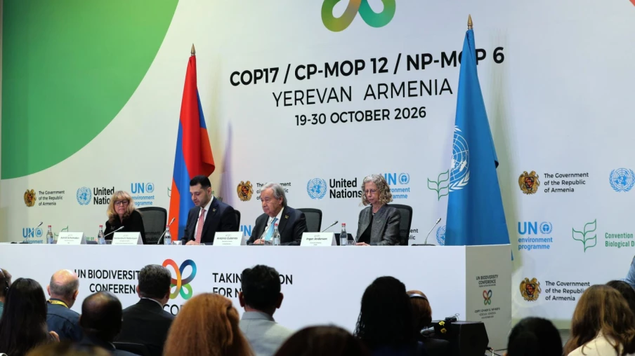 COP17 biodiversité : plusieurs textes adoptés pour protéger la nature
